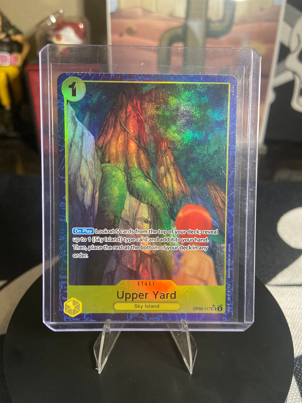 Upper Yard Alt Art