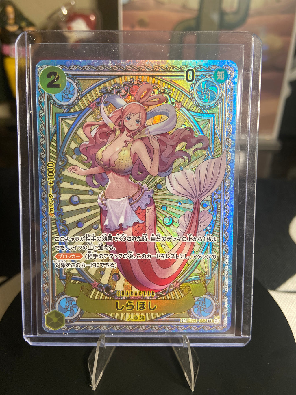 Shirahoshi SP JP
